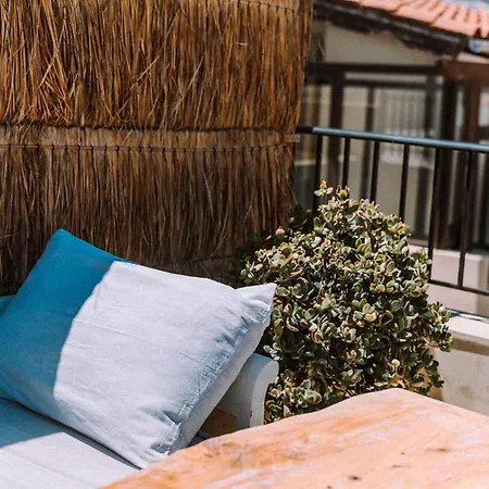 Antonia's House - Old Town Homestay