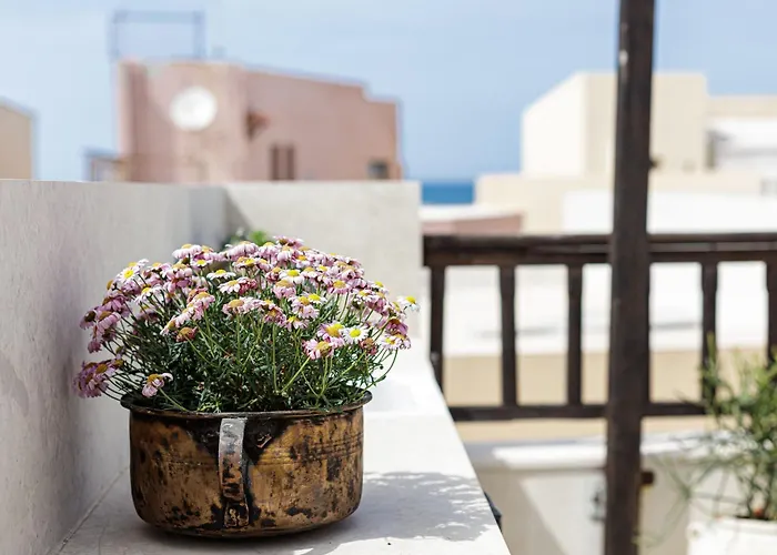 Antonia's House - Old Town Accommodatie bij particulieren *